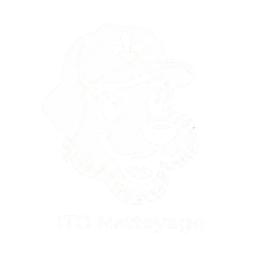 Itonettoyage
