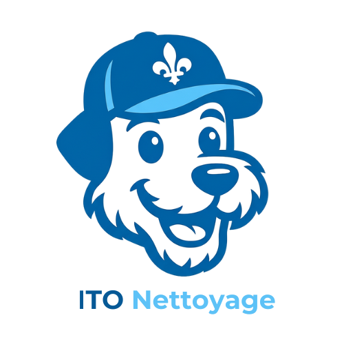ITO Nettoyage